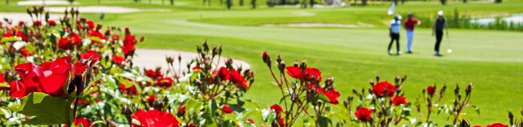 Chervo Golf San Vigilio - Benaco/Solferino cover image